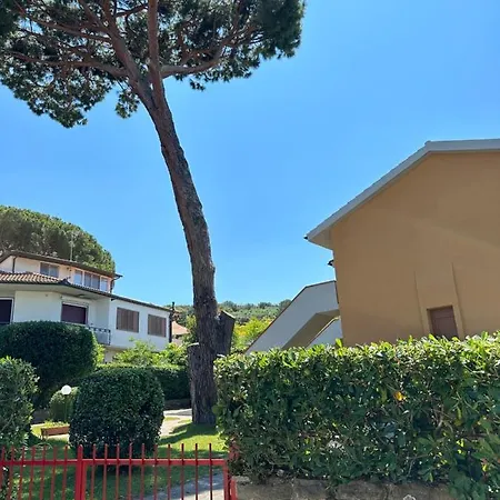 Portiglioni-cipressi Puntone di Scarlino