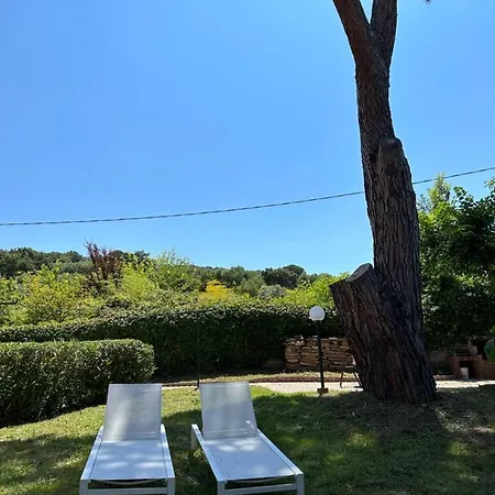 Portiglioni-cipressi Puntone di Scarlino
