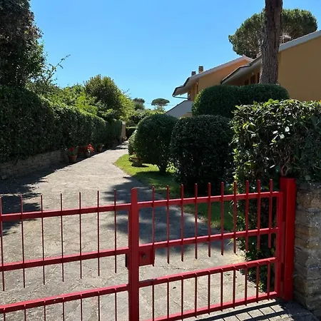 Portiglioni-cipressi *