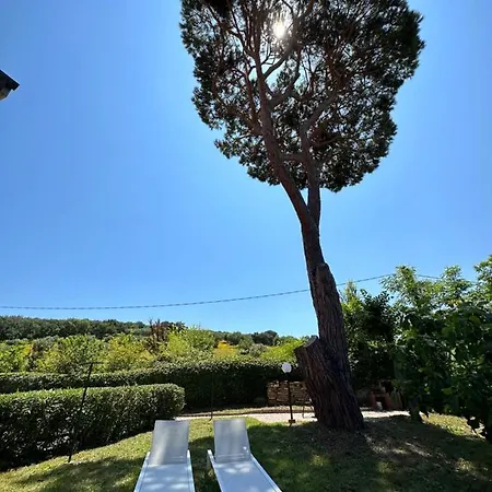 Portiglioni-cipressi * Puntone di Scarlino